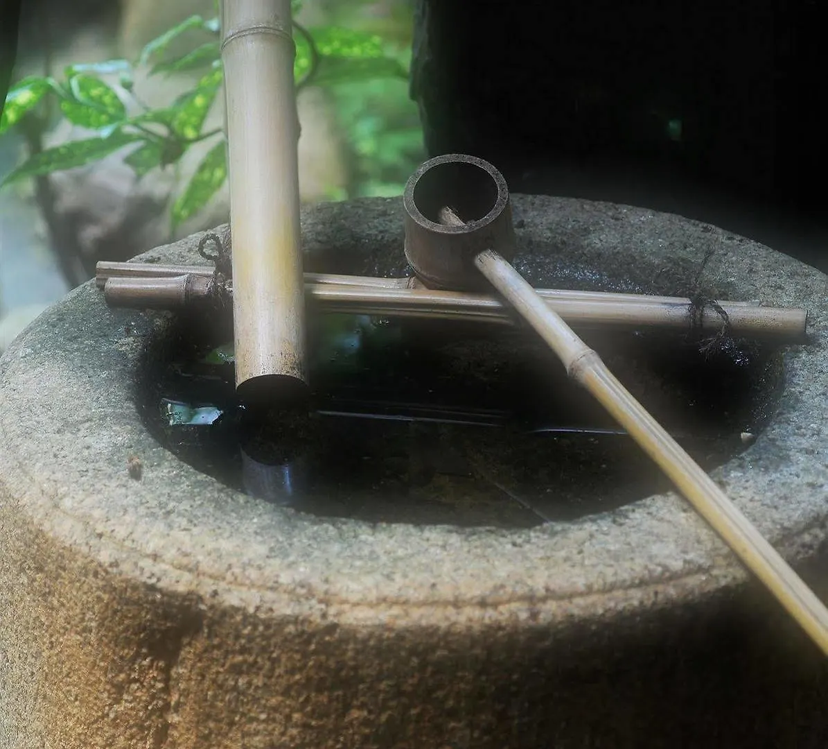 Ryokan Sanga Kyoto 4*,  Japan