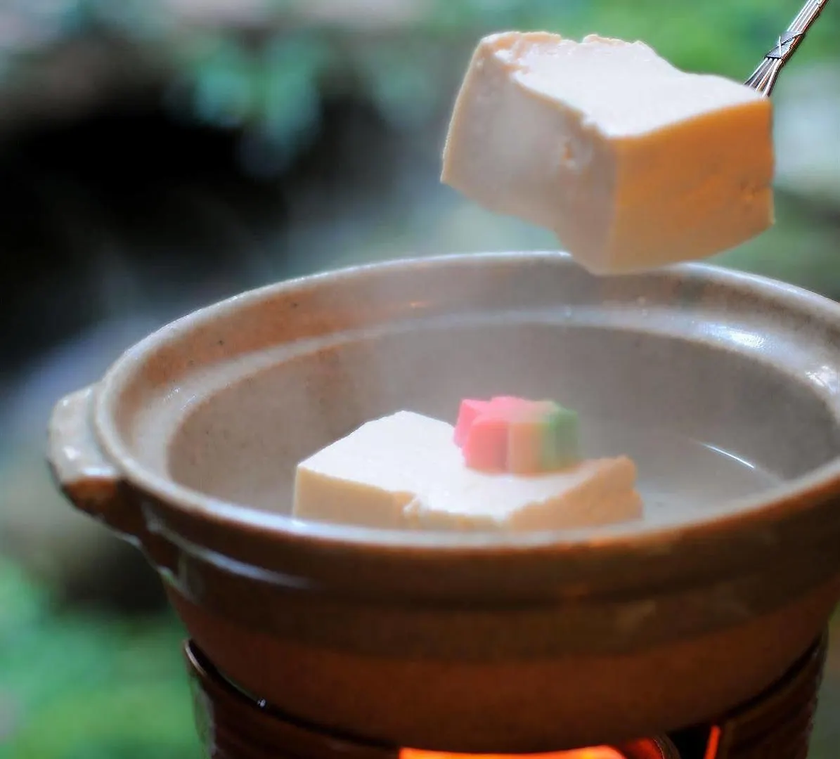Ryokan Sanga Kyoto